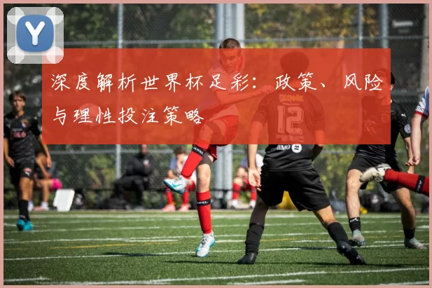 深度解析世界杯足彩：政策、风险与理性投注策略