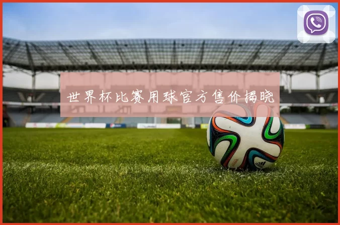 世界杯比赛用球官方售价揭晓