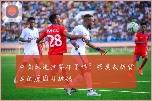 中国队进世界杯了吗?深度剖析背后的原因与挑战