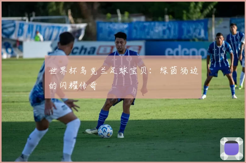 世界杯乌克兰足球宝贝:绿茵场边的闪耀传奇