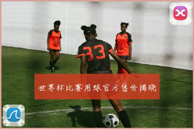 世界杯比赛用球官方售价揭晓