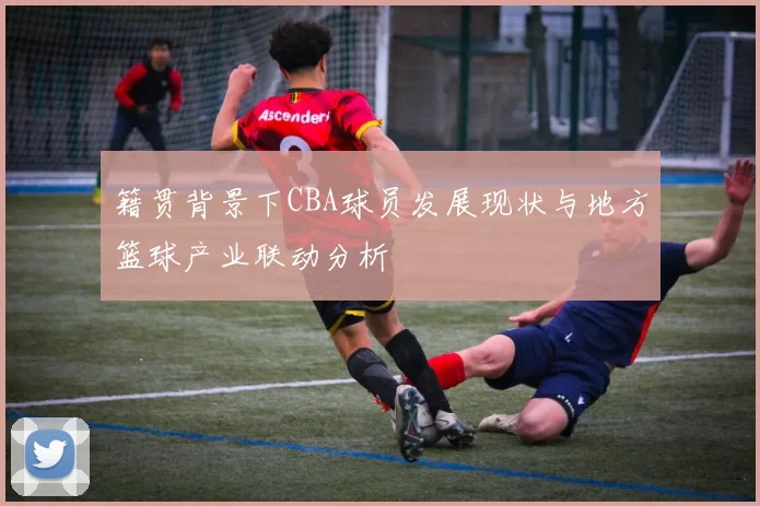 籍贯背景下CBA球员发展现状与地方篮球产业联动分析