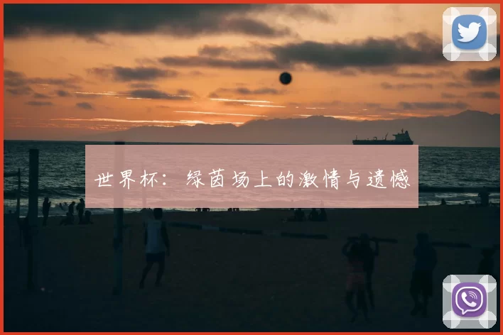 世界杯：绿茵场上的激情与遗憾