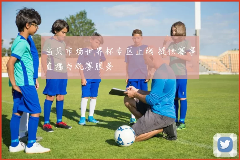 当贝市场世界杯专区上线 提供赛事直播与观赛服务