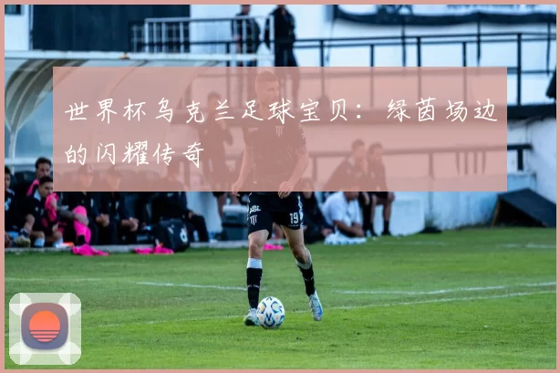 世界杯乌克兰足球宝贝:绿茵场边的闪耀传奇