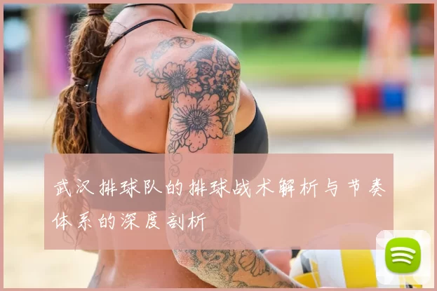 武汉排球队的排球战术解析与节奏体系的深度剖析