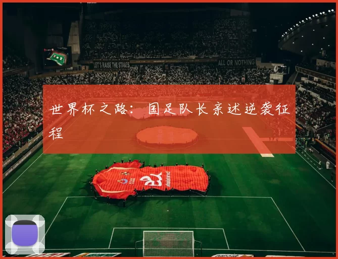 世界杯之路:国足队长亲述逆袭征程