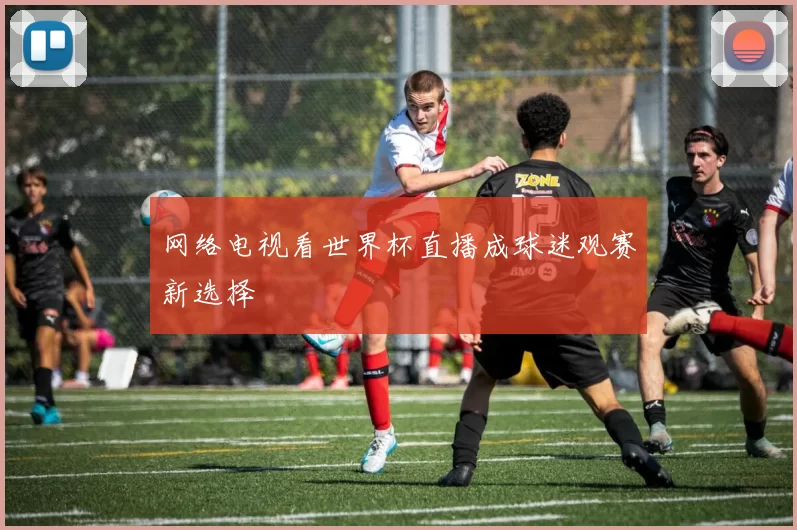 网络电视看世界杯直播成球迷观赛新选择