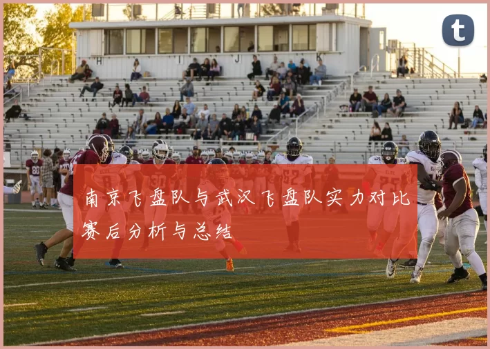 南京飞盘队与武汉飞盘队实力对比赛后分析与总结