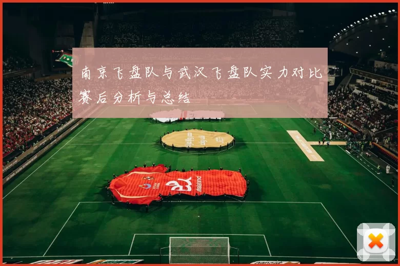 南京飞盘队与武汉飞盘队实力对比赛后分析与总结
