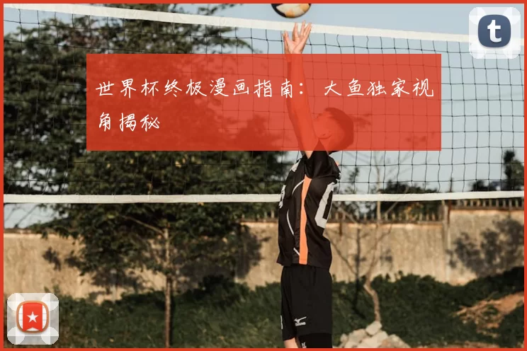 世界杯终极漫画指南:大鱼独家视角揭秘