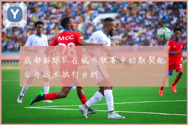 成都排球队在城市联赛中的默契配合与战术执行分析