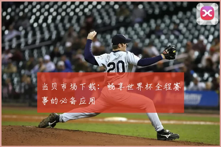 当贝市场下载:畅享世界杯全程赛事的必备应用