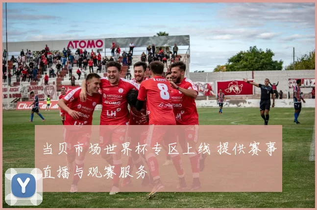 当贝市场世界杯专区上线 提供赛事直播与观赛服务