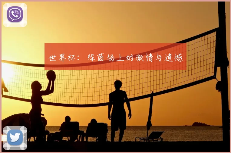 世界杯：绿茵场上的激情与遗憾