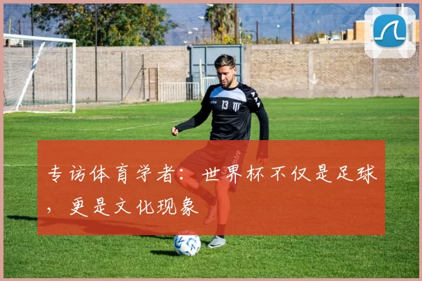 专访体育学者:世界杯不仅是足球,更是文化现象