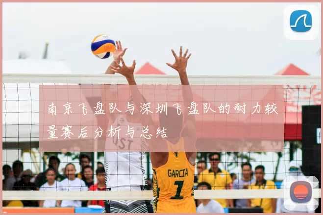 南京飞盘队与深圳飞盘队的耐力较量赛后分析与总结