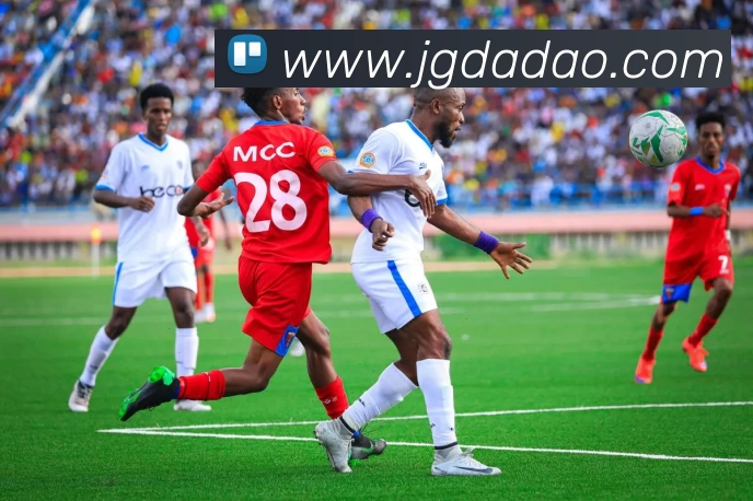 App Interface Preview