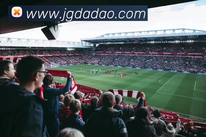 买球官网APP 封面图